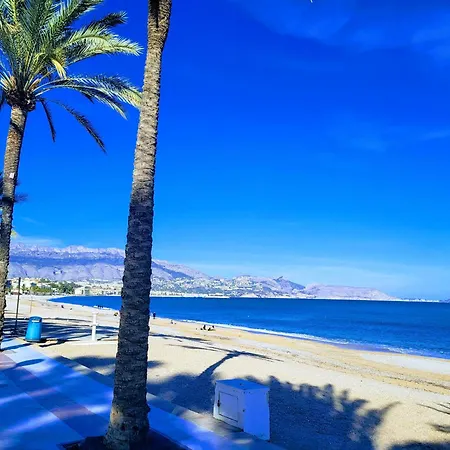 Vila Maja Albir *
