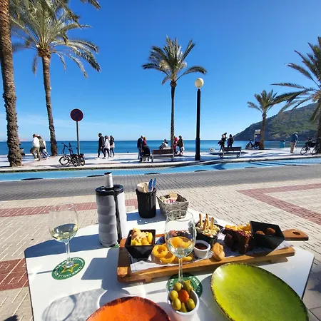 Vila Maja Albir *